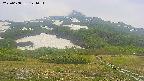 area2-20250608121034.jpg