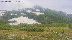 area2-20250608122034.jpg