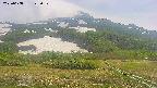 area2-20250608123032.jpg