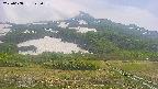 area2-20250608125035.jpg
