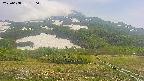 area2-20250608130034.jpg
