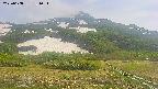 area2-20250608131035.jpg