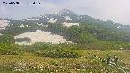 area2-20250608132034.jpg