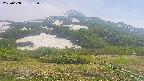 area2-20250608135037.jpg