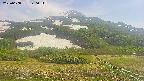 area2-20250608140035.jpg