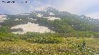 area2-20250608142034.jpg