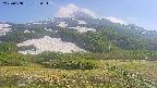 area2-20250608152035.jpg