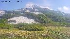 area2-20250608154037.jpg