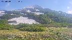 area2-20250608155031.jpg