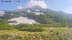 area2-20250608160034.jpg