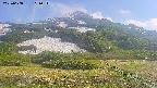 area2-20250608161035.jpg