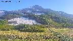 area2-20250608172036.jpg