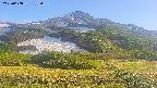 area2-20250608173037.jpg
