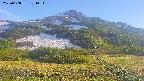 area2-20250608174035.jpg