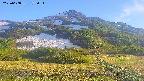 area2-20250608175032.jpg