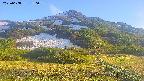 area2-20250608180034.jpg
