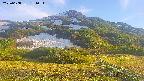 area2-20250608181035.jpg