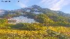 area2-20250608182034.jpg