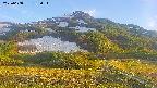 area2-20250608183036.jpg