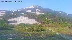 area2-20250609052036.jpg