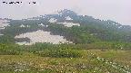 area2-20250609140036.jpg