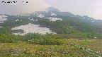 area2-20250609165034.jpg