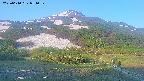 area2-20250610051035.jpg
