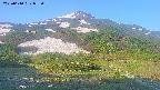 area2-20250610053034.jpg