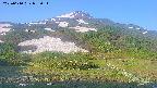 area2-20250610055035.jpg