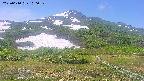 area2-20250610100033.jpg