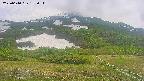 area2-20250610133035.jpg