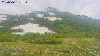 area2-20250610153035.jpg