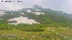 area2-20250610154035.jpg