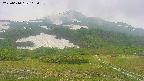 area2-20250610163034.jpg
