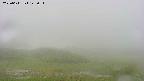 area2-20250611142031.jpg