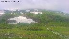 area2-20250612072031.jpg
