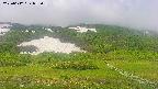 area2-20250612085034.jpg