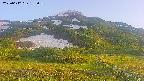 area2-20250612183035.jpg