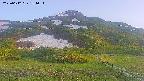 area2-20250612184035.jpg