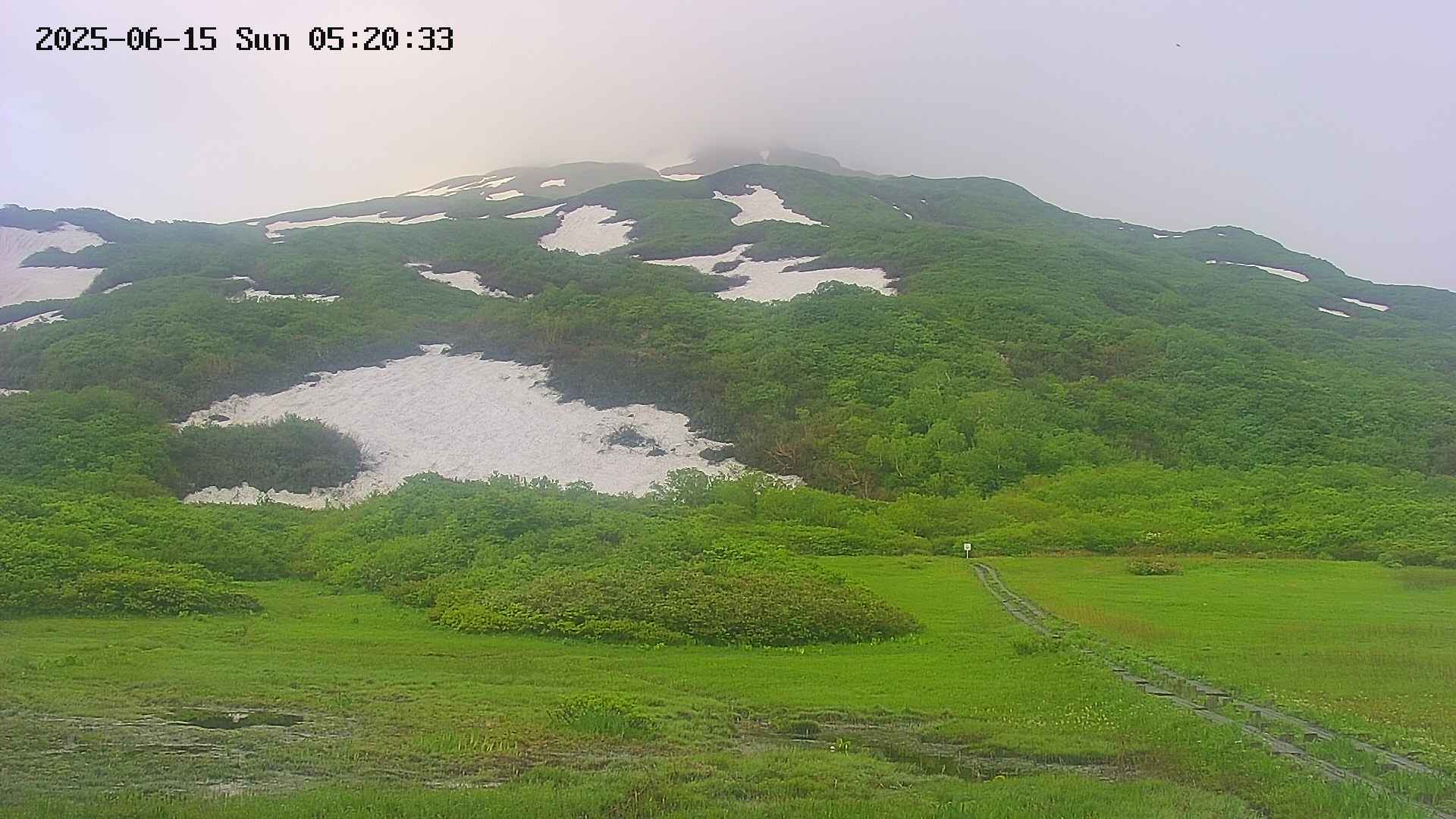 area2-20250615052034.jpg