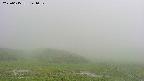 area2-20250615141031.jpg