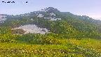 area2-20250615182034.jpg