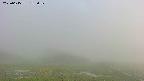 area2-20250615183032.jpg