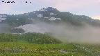 area2-20250615185033.jpg