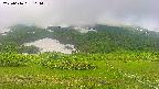 area2-20250616114034.jpg