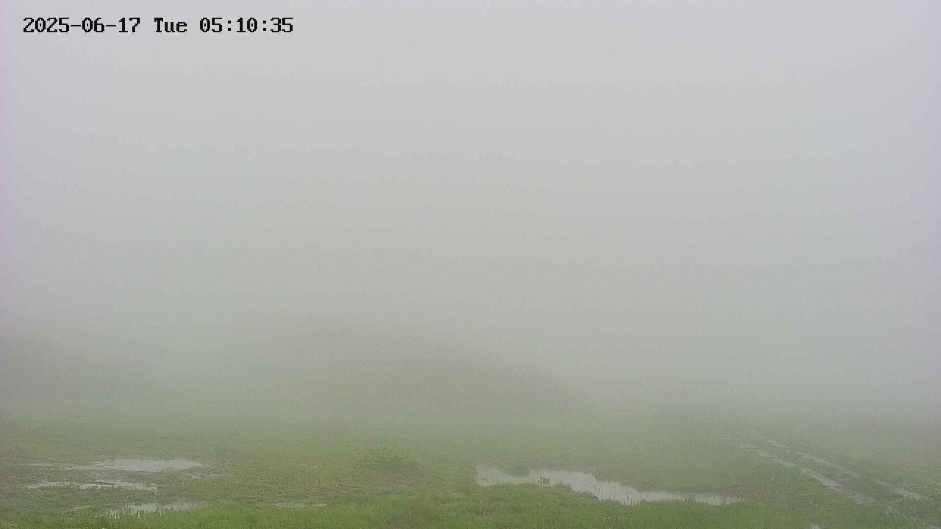 area2-20250617051035.jpg