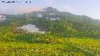 area2-20250619183032.jpg