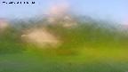 area2-20250620051034.jpg