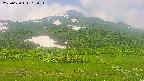 area2-20250620103032.jpg