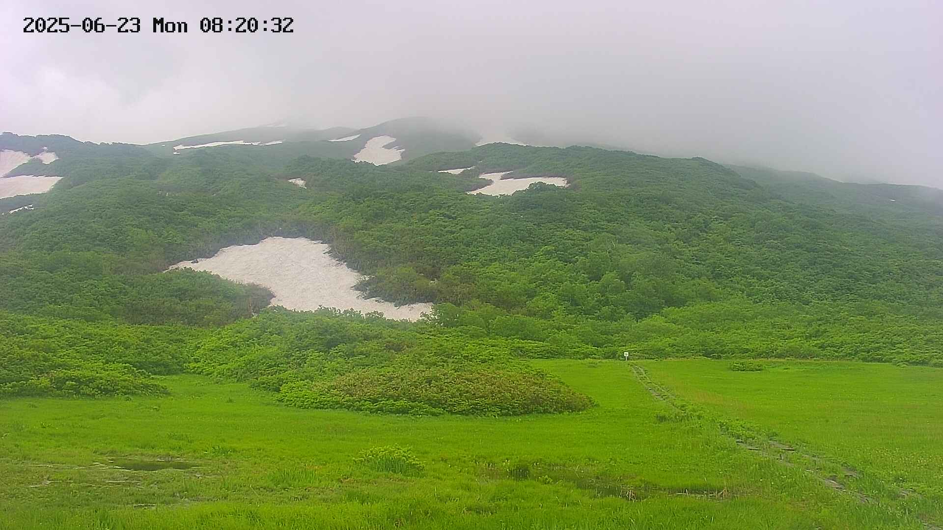area2-20250623082033.jpg